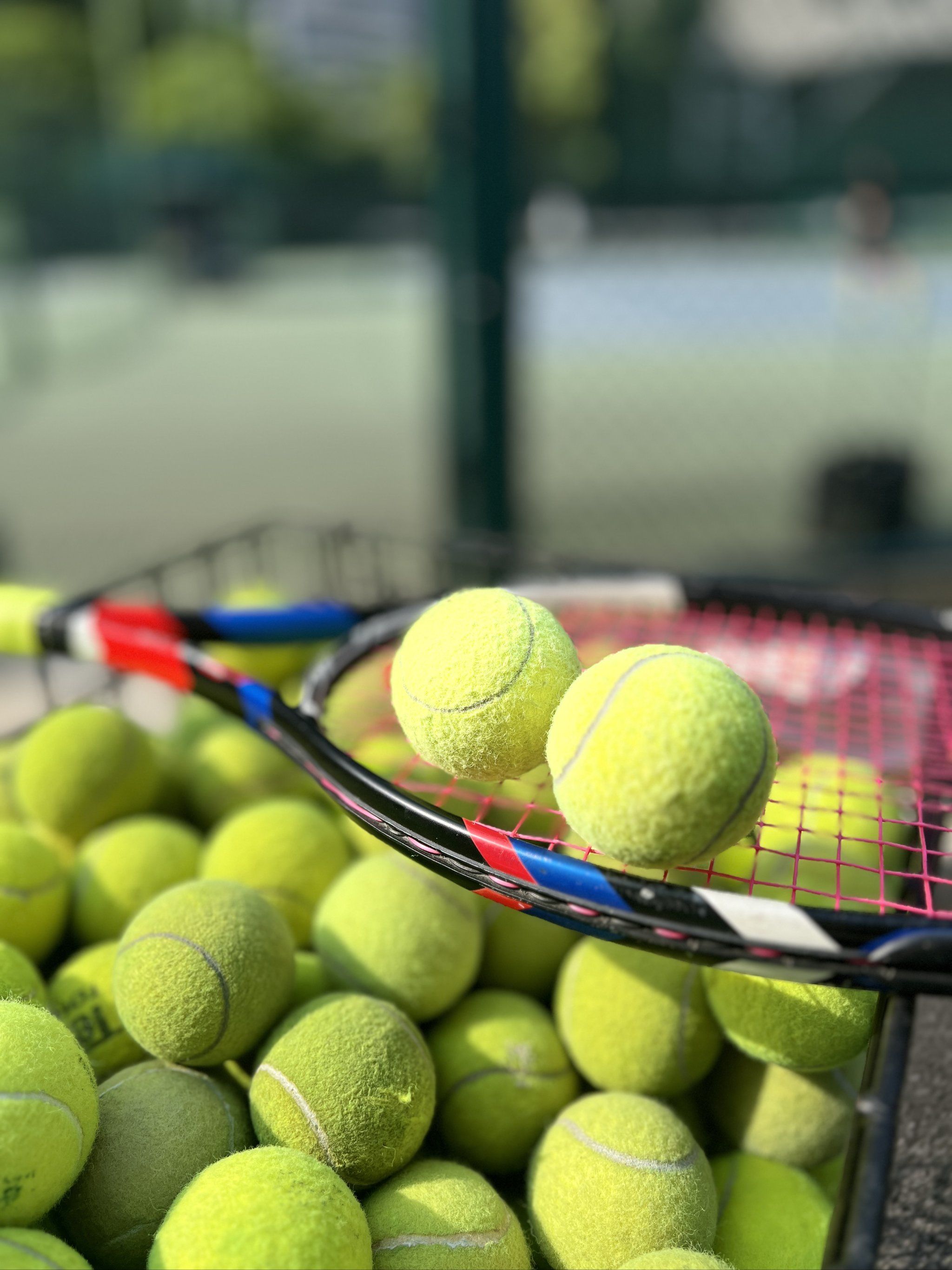 阶段性交付 阶段性交付