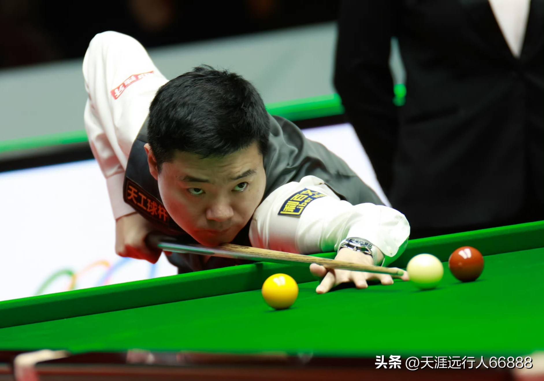 免把中等强 免把中等强