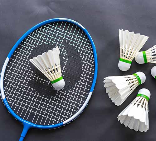 易斯红雀队 易斯红雀队